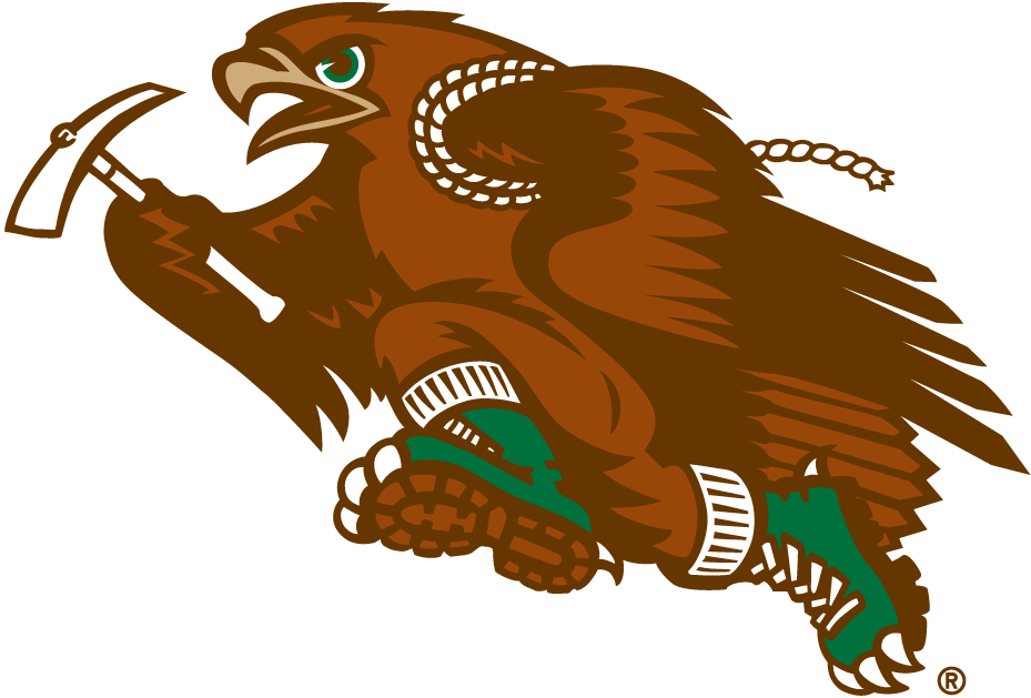 Lehigh Mountain Hawks 1996-Pres Mascot Logo DIY iron on transfer (heat transfer)